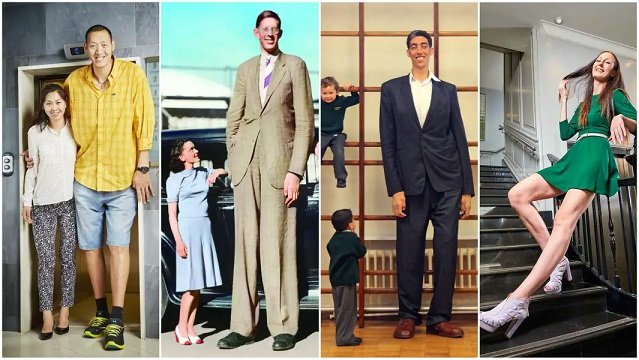 Tallest Man in the World