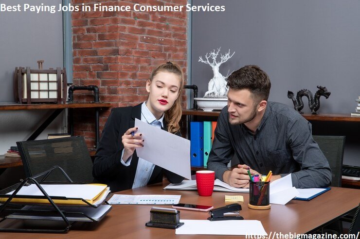 Best Paying Jobs in Finance Consumer Services