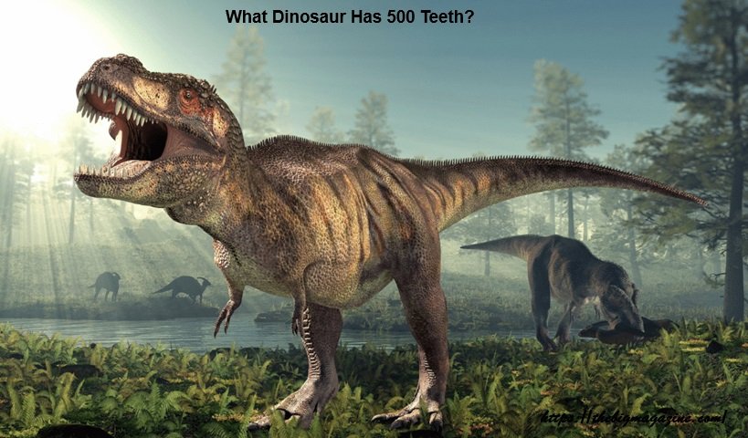 What Dinosaur Has 500 Teeth?