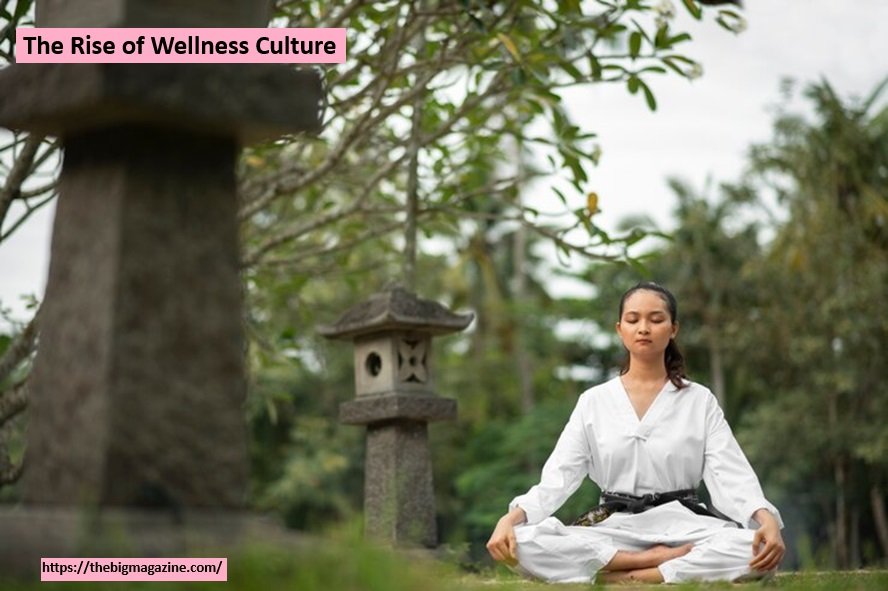 Wellness Culture